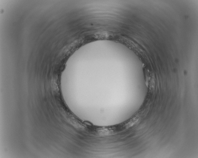 X0000073930616200609082304