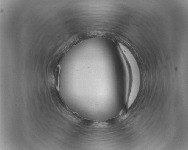 X0000073930617200609082304