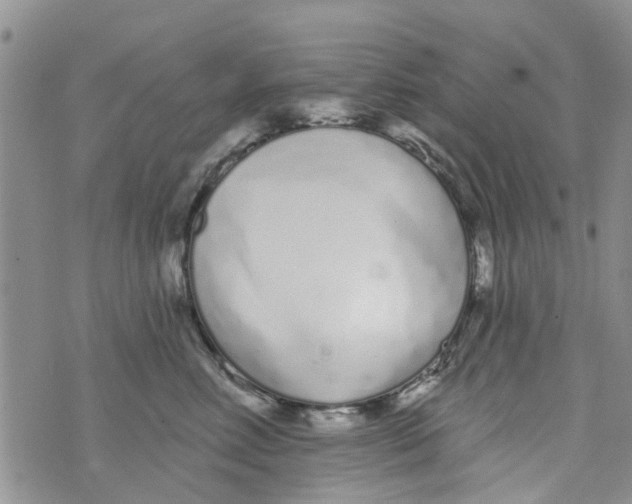 X0000073930618200609082304