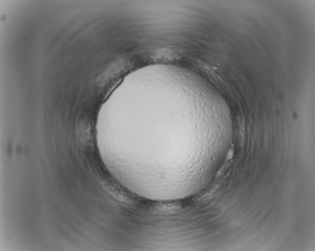 X0000073930619200609082304