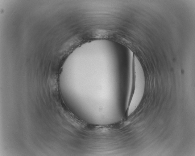 X0000073930620200609082304