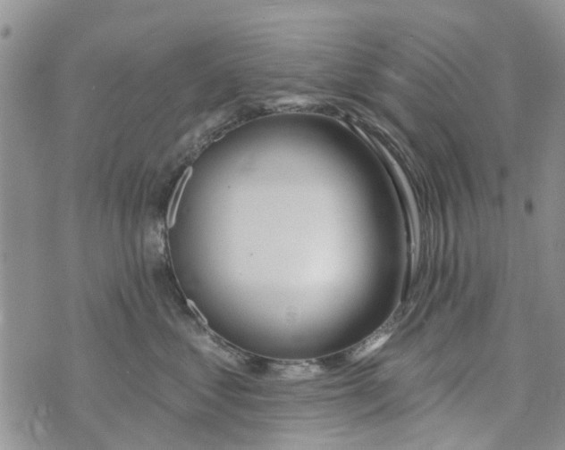 X0000073930621200609082304