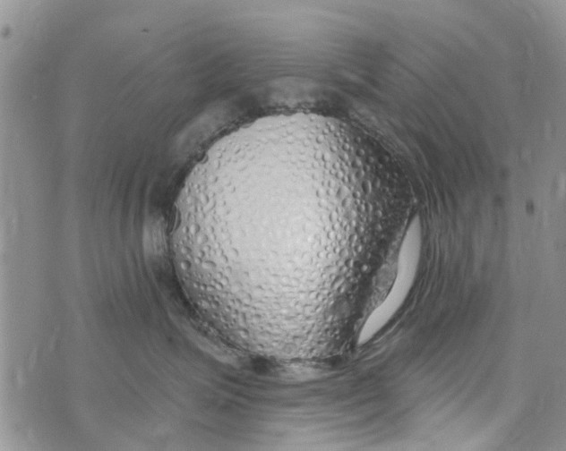 X0000073930623200609082304