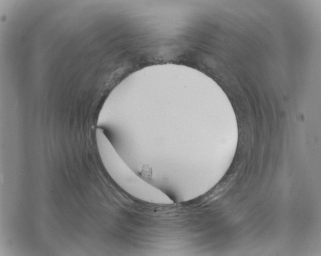 X0000073930624200609082304