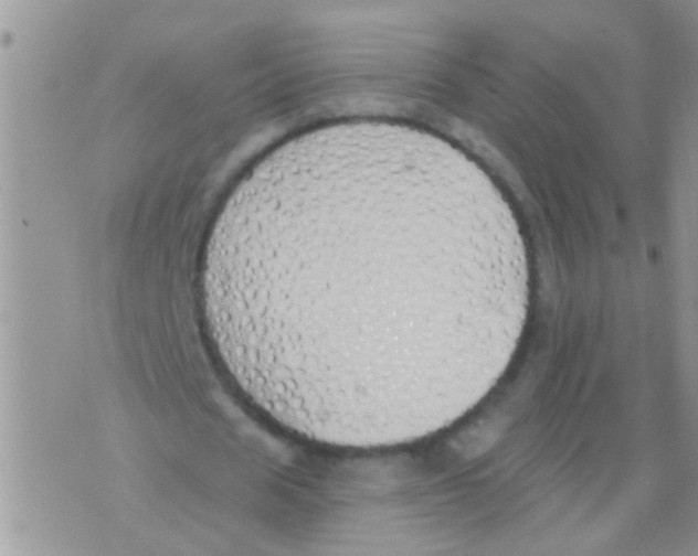 X0000073930625200609082303