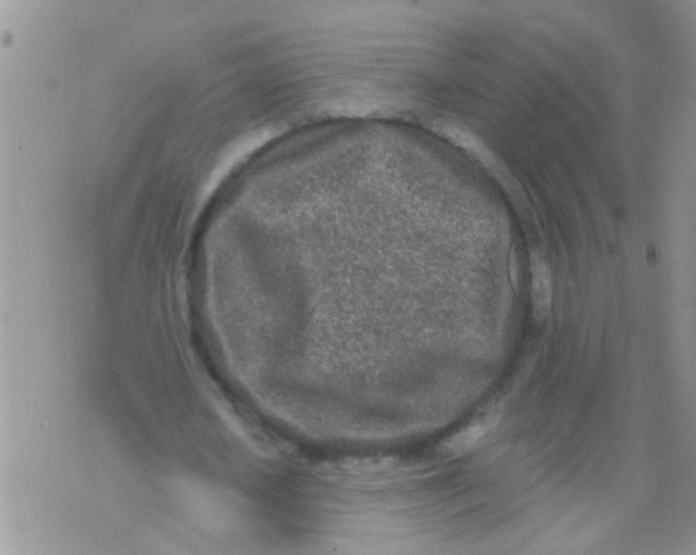 X0000073930626200609082304