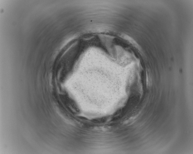 X0000073930627200609082304