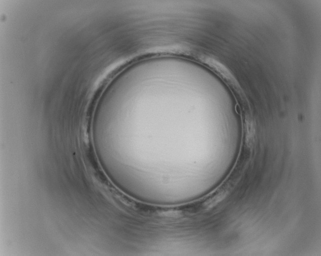 X0000073930628200609082304