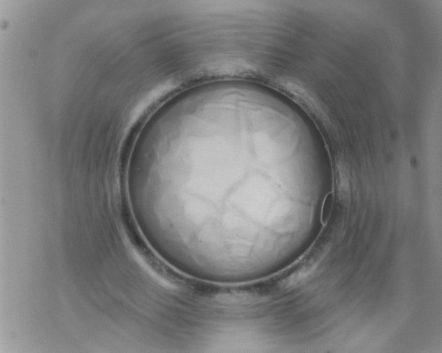 X0000073930630200609082304