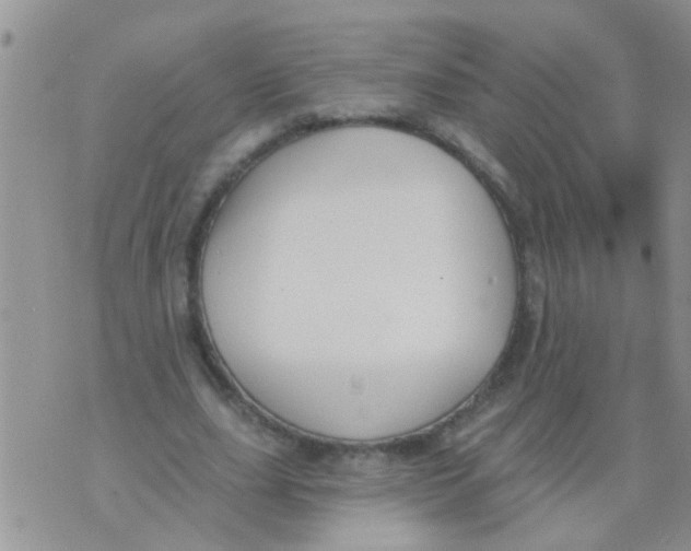 X0000073930631200609082304