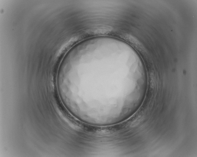 X0000073930634200609082304