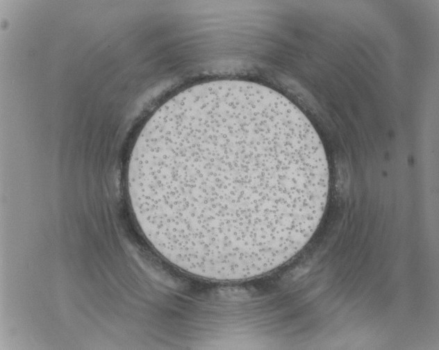 X0000073930636200609082304