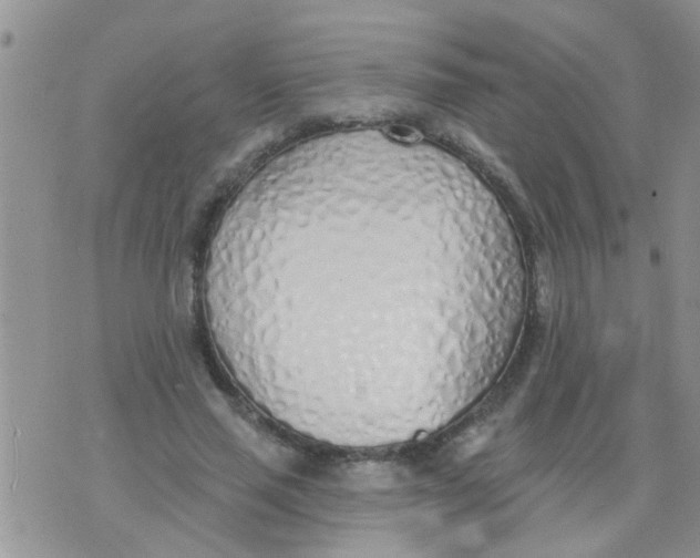 X0000073930637200609082304