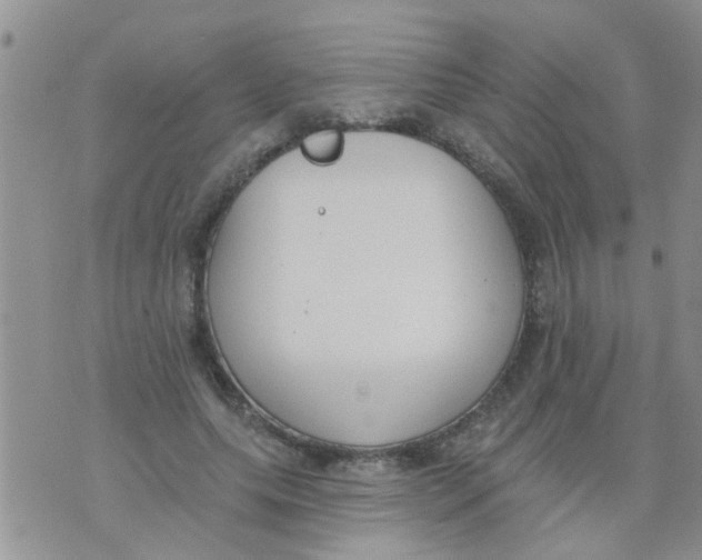 X0000073930639200609082304