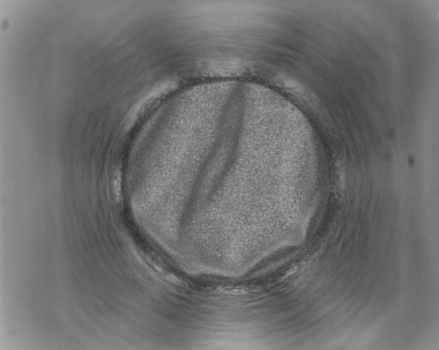 X0000073930640200609082304