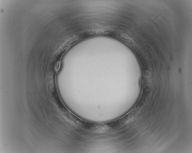 X0000073930642200609082304