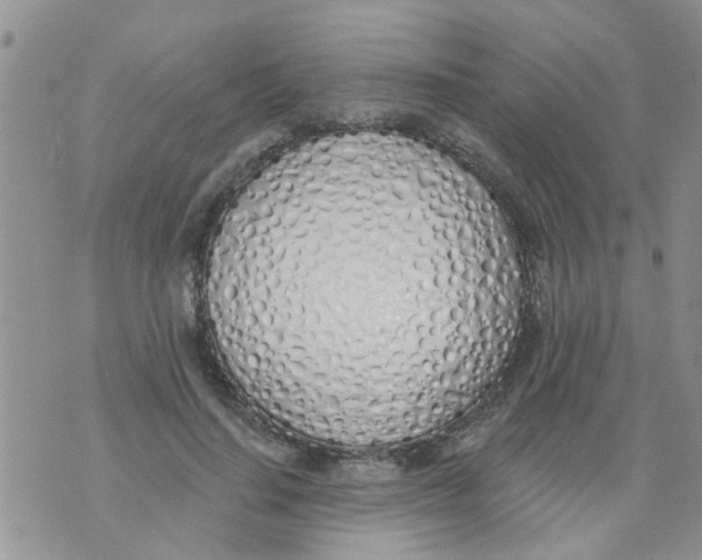 X0000073930644200609082304