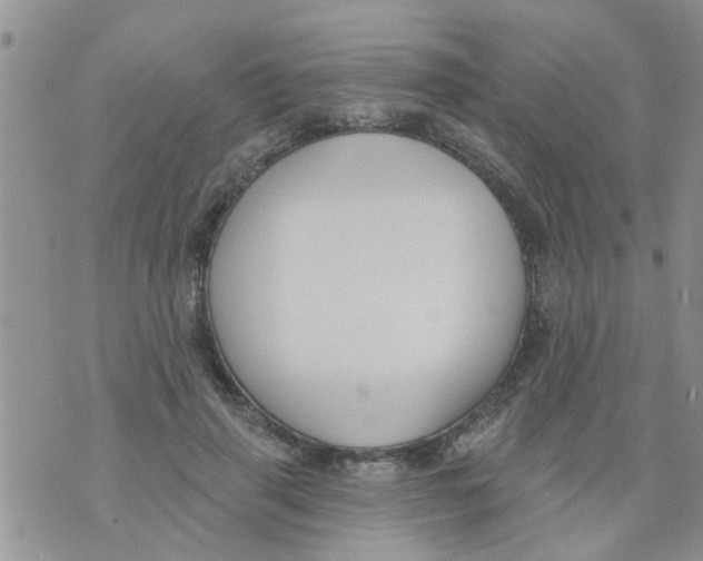 X0000073930645200609082304