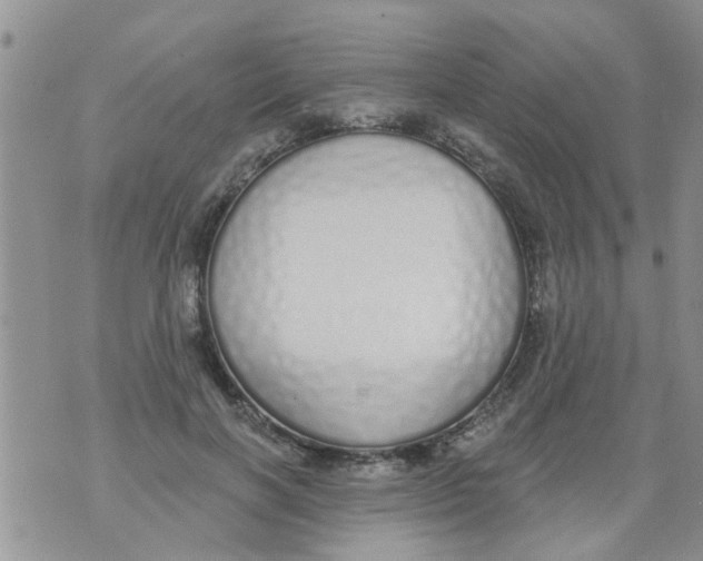 X0000073930646200609082304