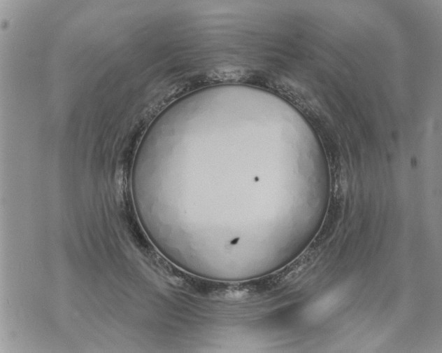 X0000073930647200609082304