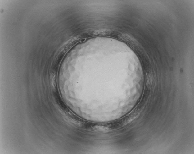 X0000073930648200609082304