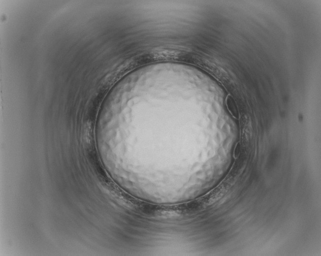 X0000073930649200609082304