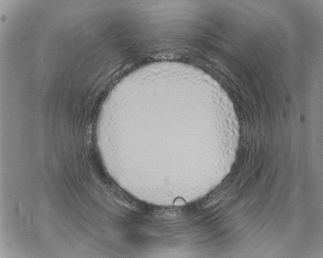 X0000073930652200609082304