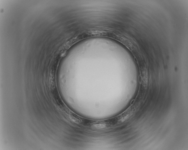 X0000073930653200609082304