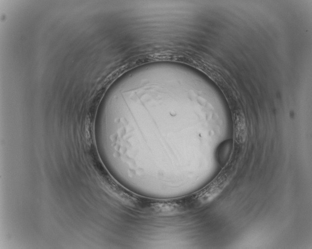 X0000073930654200609082304