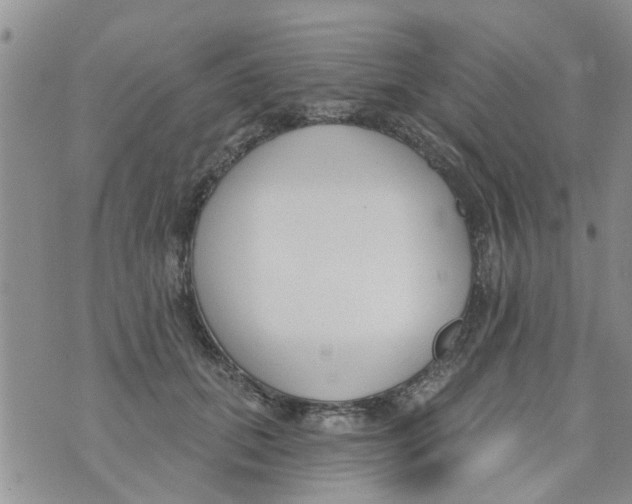 X0000073930655200609082304