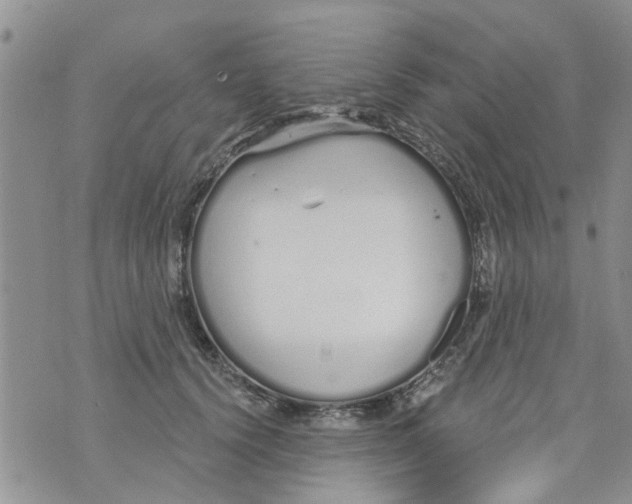 X0000073930656200609082304