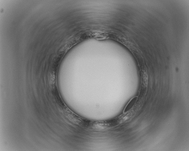 X0000073930657200609082304