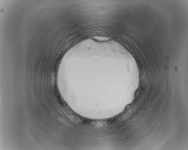 X0000073930660200609082304