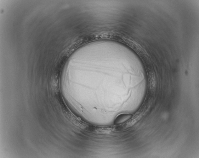 X0000073930661200609082304