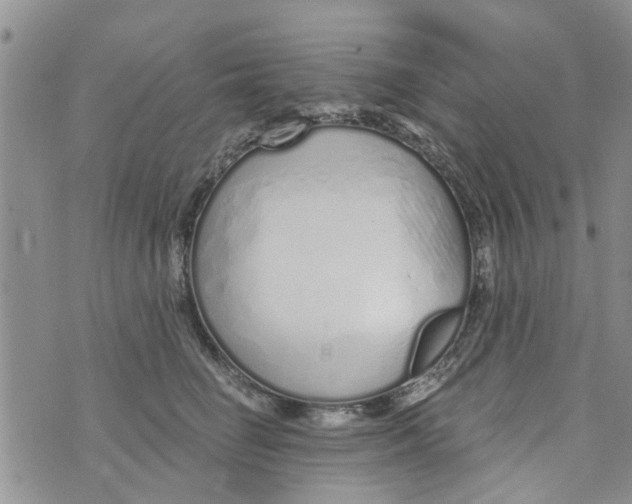 X0000073930662200609082304