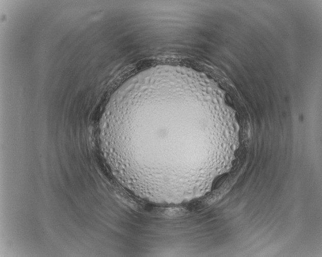 X0000073930663200609082304