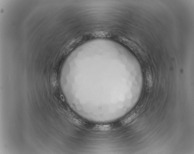 X0000073930665200609082304