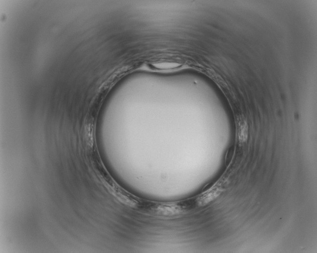 X0000073930666200609082304