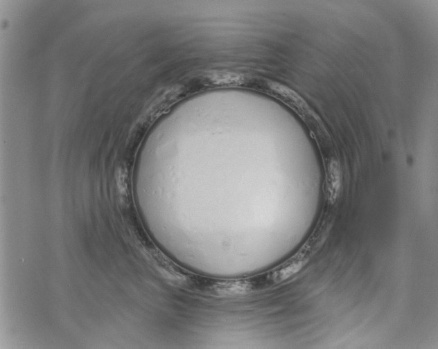 X0000073930667200609082304