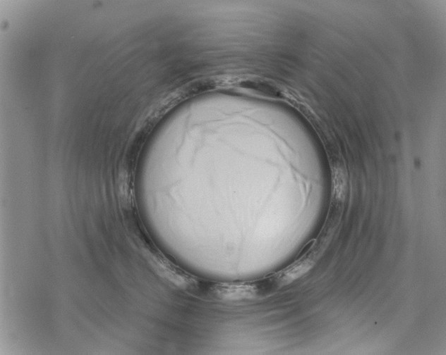 X0000073930670200609082304