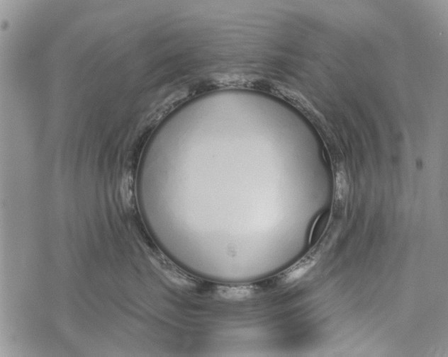 X0000073930671200609082304