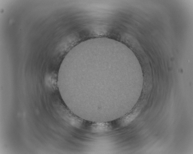 X0000073930672200609082304