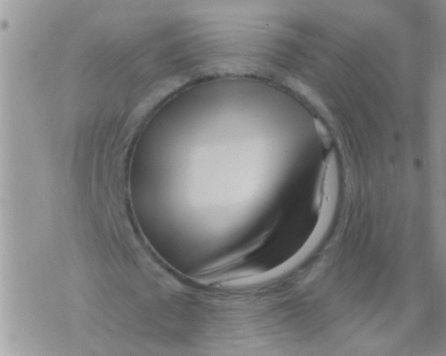 X0000073930673200609082303