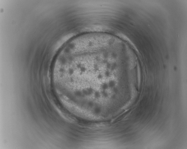 X0000073930674200609082303