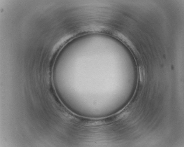 X0000073930675200609082303