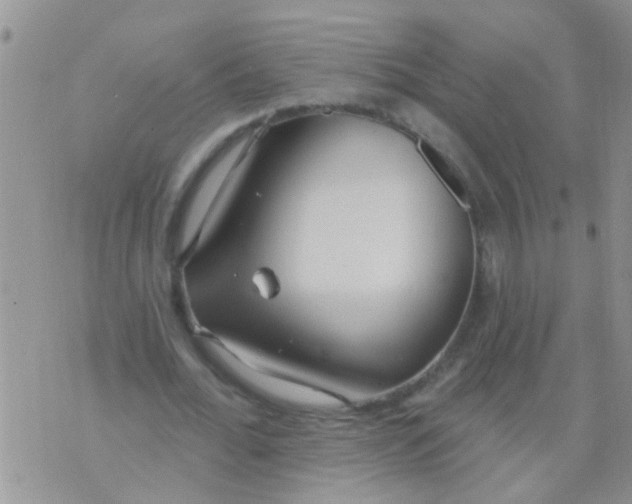 X0000073930676200609082303