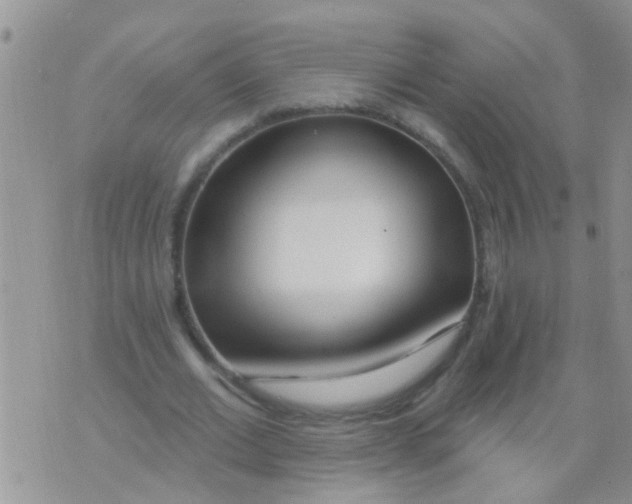 X0000073930677200609082303