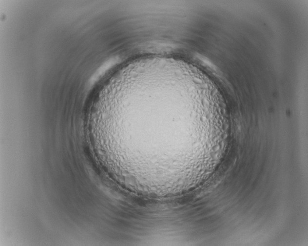 X0000073930679200609082303