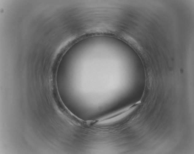 X0000073930680200609082303