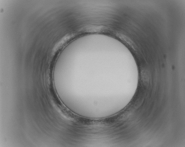 X0000073930682200609082303